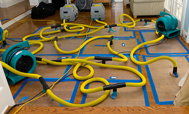 Professional Flood Damage Restoration technician working in Belmont, WI